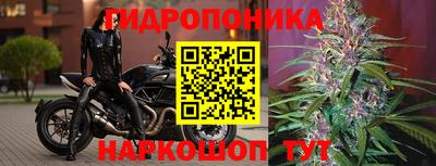 дистиллят марихуана Гай
