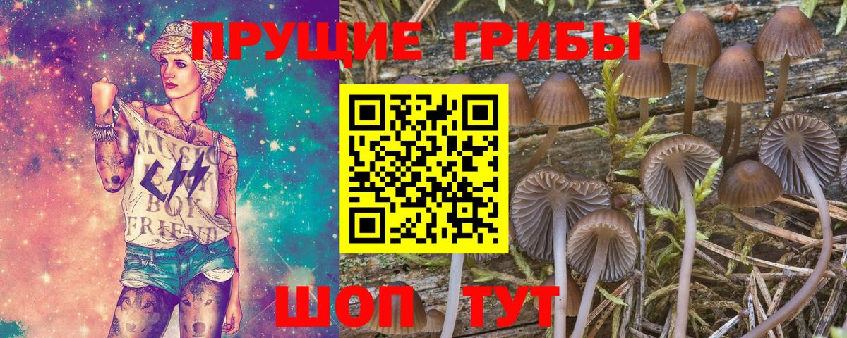 Псилоцибиновые грибы Cubensis  сколько стоит  Новочеркасск  Вход с VPN  Галлюциногенные грибы мухоморы 